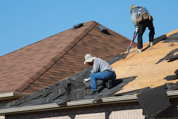 Best Roof Coating and Sealing  in , NV
