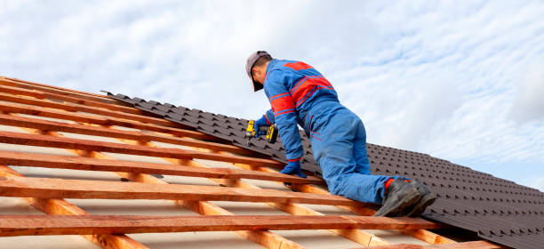 Best Roof Restoration  in , NV